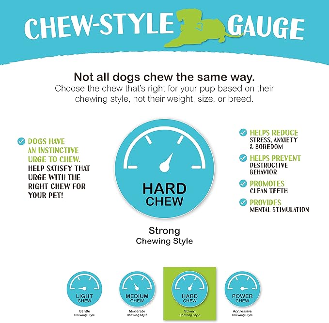 Raw Paws Camel Skin Chews for Dogs, 10-inch (10-Count) - Rawhide Free Dog Chew Long Lasting - Support Dog Anxiety Relief - Bully Stick Alternative