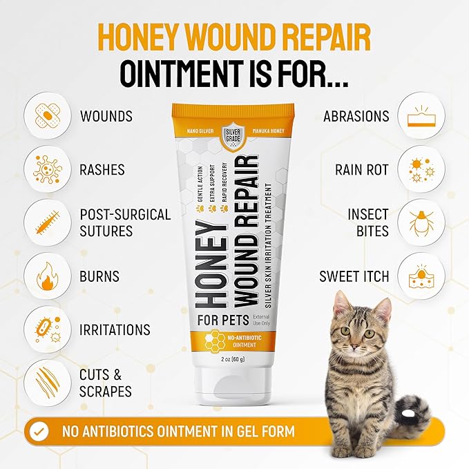 Cat Wound Care Gel for Scratches, Bites & Irritations – Hot Spot Treatment for Cats & Kittens – Honey Wound Repair Ointment in Gel Form with Colloidal Silver & Manuka Honey for Topical Use – 2 Oz Tube