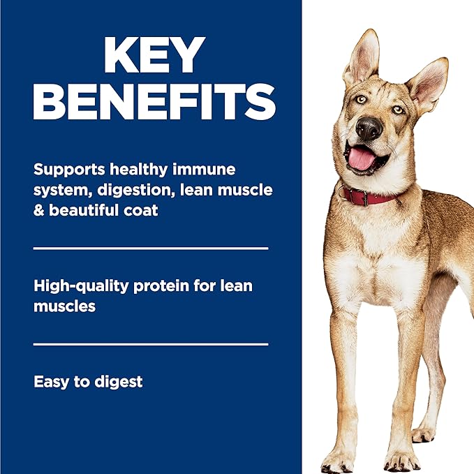 Hill's Science Diet Adult 1-6, Adult 1-6 Premium Nutrition, Wet Dog Food, Chicken & Vegetables Stew, 12.8 oz Can, Case of 12