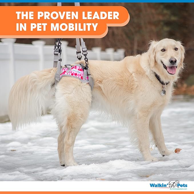Walkin’ Warrior Rear Dog Harness for Mobility, Adjustable Handles, Rear Leg Dog Harness for Senior Dogs and Pets Recovering from Surgery
