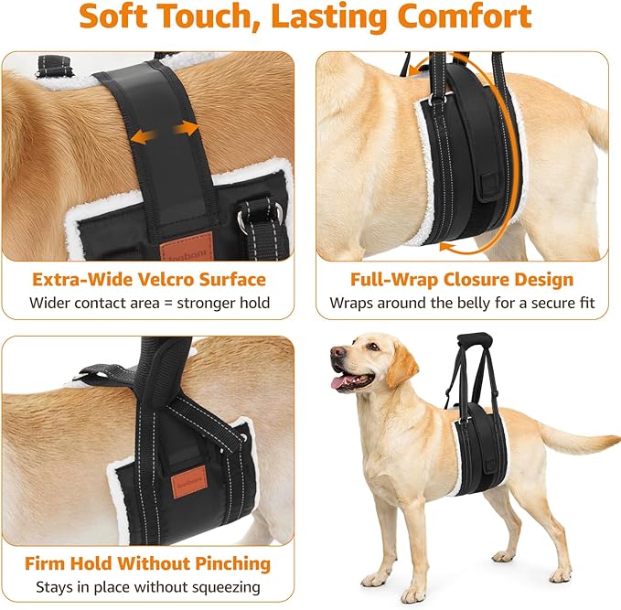 LOOBANI Dog Lift Harness for Back Legs, Portable Dog Sling for Large Dogs Hind Leg Support, Comfortable Supports Helps Canie Hip Arthritis K9 Cruciate Ligament Rehabilitation
