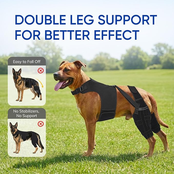 Dog Knee Brace for Torn ACL Hind Legs with Vest, Adjustable Dog Leg Brace with 4 Stabilizers, Hip Support to Reduce Pain, CCL Tear Recovery & Arthritis Ligament Injuries & Luxating Patella (XX-Large)