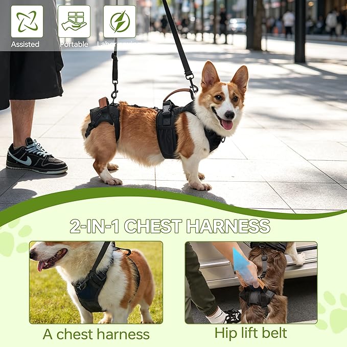 Dog Lift Harness for Male Dogs - 2-in-1 Full Body Support Aid & Sling, Comfortable & Chafe-Free for Post-Surgery Recovery and Elderly Dog Mobility, Hind Leg Assistance, Supports up to 40 Lbs (M)