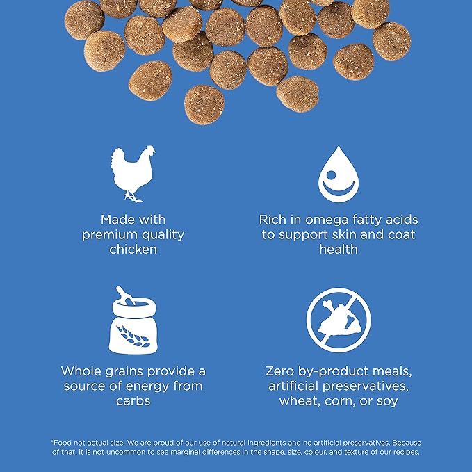 Go! Solutions Skin + Coat Care Chicken Dry Dog Food with Grains, Healthy Kibble with Omega-3s & 6s for Soft, Shiny Fur, for Puppies, Adults, & Seniors, 22 lb Bag