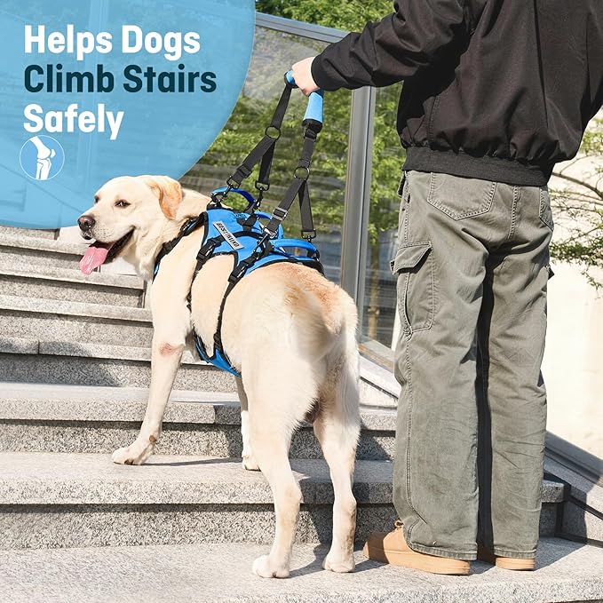 Dog Lift Harness for Medium Dogs, Full Body Support Sling with 3 Handles and Shoulder Strap, Carrying Vest for Senior Dogs with Arthritis or Joint Injuries, Stairs Assistance, Blue, Medium