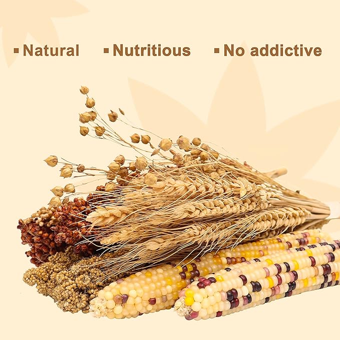 Sprays Set = Wheat + Flax + Yellow Millet + Panicle Millet + Corn Cob + Sorghum Stems, Pet Habitat Bedding Decor, Natural Hamster Chews Accessories, for Gerbil, Mice, Guinea Pig, Chinchilla, 6 Sprays