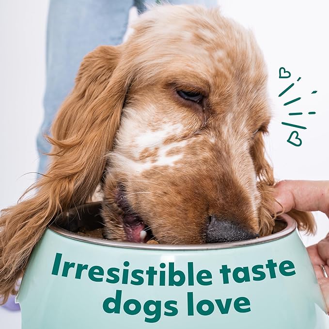 Optimeal Wet Dog Food Pouches - Grain-Free Chicken & Lamb Recipe, High Protein, Tender Morsels in Savory Sauce, Made with Natural Ingredients for Small Dogs - 3oz (Pack of 12)