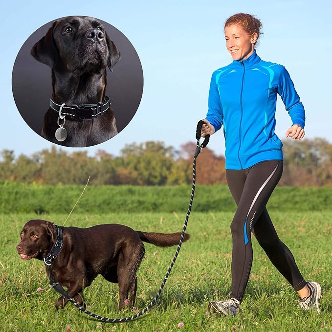 Reflective Dog Collar Padded with Soft Neoprene Breathable Adjustable Nylon Dog Collars for Small Medium Large Dogs (Medium (Pack of 1), Black Collar+Leash)