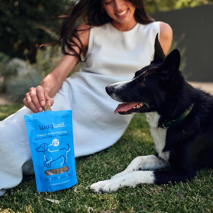 WagWell Freeze Dried Dog Treats, Beef + Yogurt + Sweet Potato Flavor | Training Treats, Food Topper, Healthy Snack for Dogs | Human Grade, Grain Free, High Protein | Made in USA | 4 oz Bag, 1 Pack