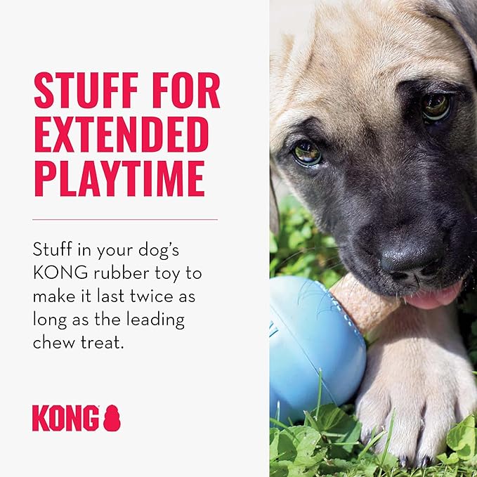 Kong - Ziggies Puppy - Teeth Cleaning Dog Treats - Small (Best Used with Kong Puppy Rubber Toys)