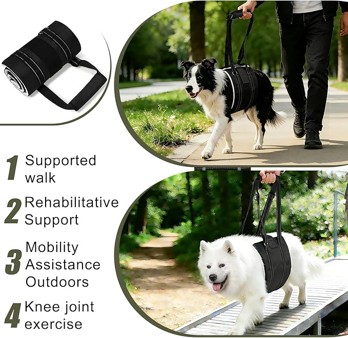 Dog Sling Adjustable Dog Lift Harness: Hip Support Sling for Dog, Dog Rehab Harness for Weak Rear Legs, Helps Disabled, Senior, Injured, and After ACL Surgery Dogs, Black for Large Dogs