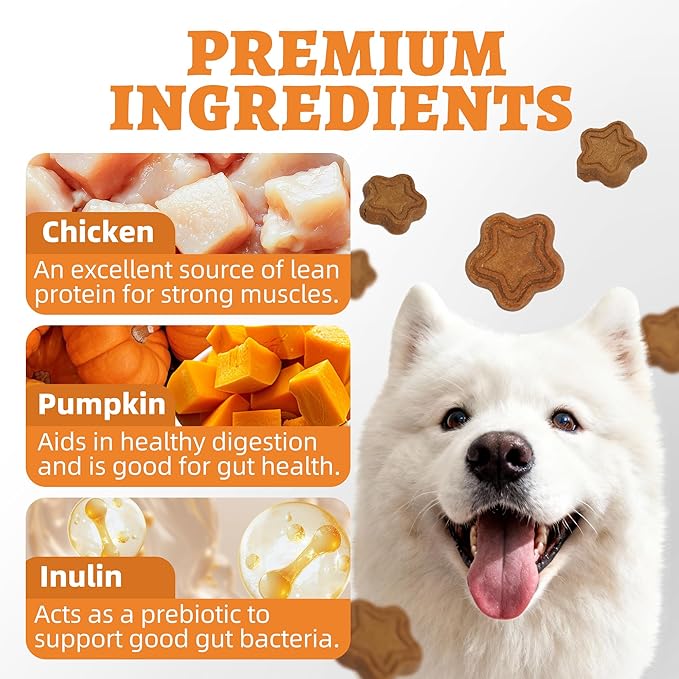 Just Try 40 OZ Pumpkin Dog Treats Biscuits Digestive Support Gut Health Training Treats Healthy Dog Treats