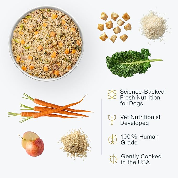 JustFoodForDogs Frozen Fresh Dog Food, Complete Meal or Dog Food Topper, Chicken & Rice Human Grade Dog Food Recipe, 18 oz (Pack of 21)