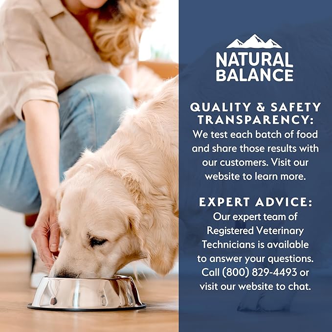 Natural Balance Health Protection Wet Dog Food – Whole Body Health, Easy on Digestion, Chicken, Pumpkin & Brown Rice Stew, Digestive Wellness Dog Food, High in Fiber - 12.5oz (Case of 6)