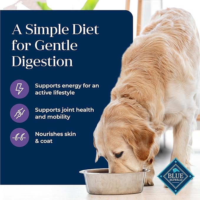 Blue Buffalo Basics Senior Dry Dog Food, Skin & Stomach Care, Limited Ingredient Diet, Turkey Recipe, 4-lb Bag