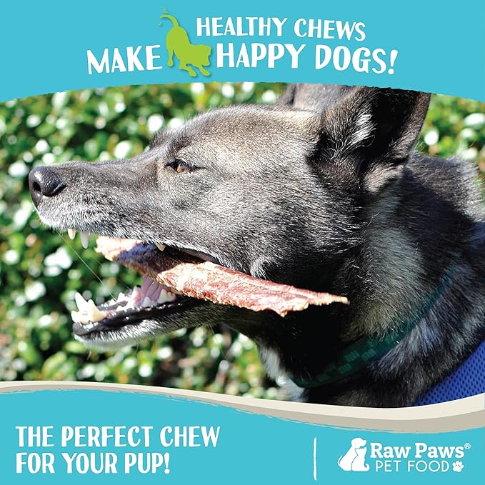 Raw Paws Beef Esophagus Strips for Dogs, 6-inch (20-Count) - All Natural Chews - Free-Range Beef Esophagus Strips - Dog Taffy Chews - Single Ingredient Chew for Dogs - Cow Jerky Treats