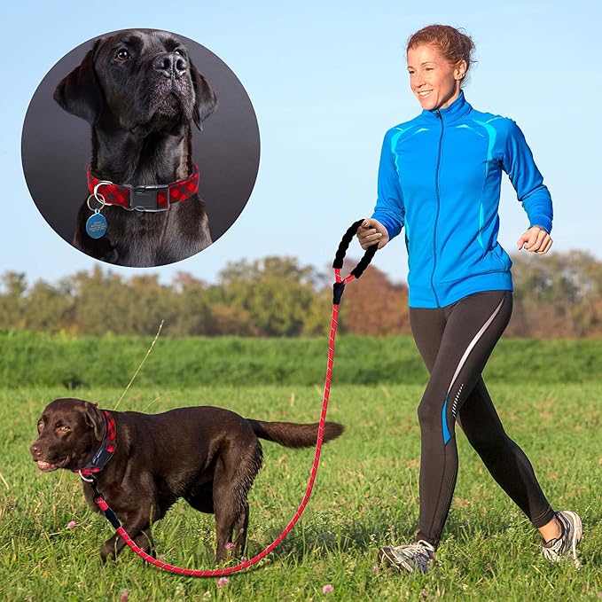 Reflective Dog Collar Padded with Soft Neoprene Breathable Adjustable Nylon Dog Collars for Small Medium Large Dogs (Medium (Pack of 1), Red Plaid Collar+Leash)