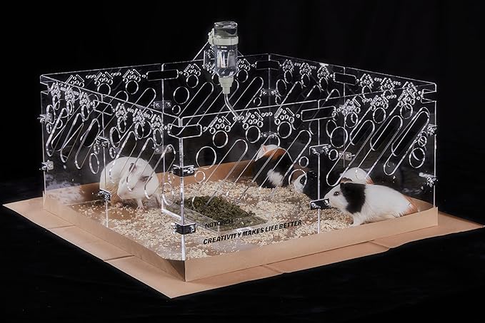 Acrylic Guinea Pig Cages - 2x2ft Small Animal Cage | DIY Extendable | Easy-to-Clean Disposable Bottom (Without Lid)