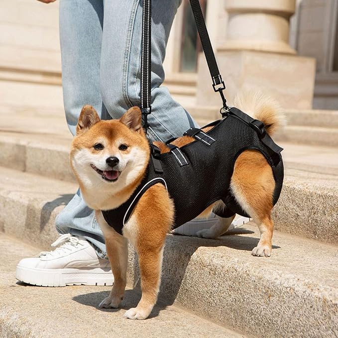 Adjustable Dog Harness for Elderly Pet with Padded Belt and Breathable Design Disabled Pet Lift Slings - Black - L