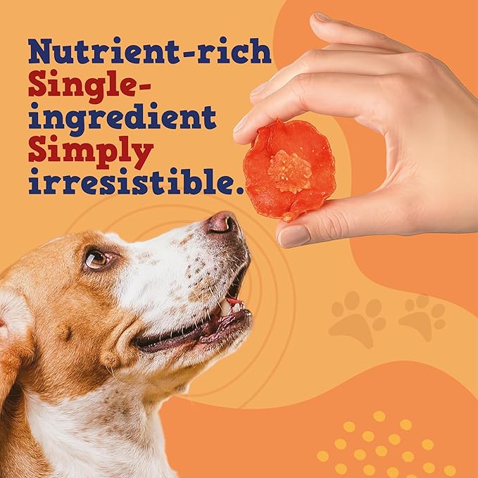 Jack&Pup Just Carrot Chews for Dogs | Single Ingredient Hypoallergenic Dog Treats | Nutritious, Flavorful and All Natural Carrot Dog Treats, Low Fat Low Calorie Dogs Treat (14oz)
