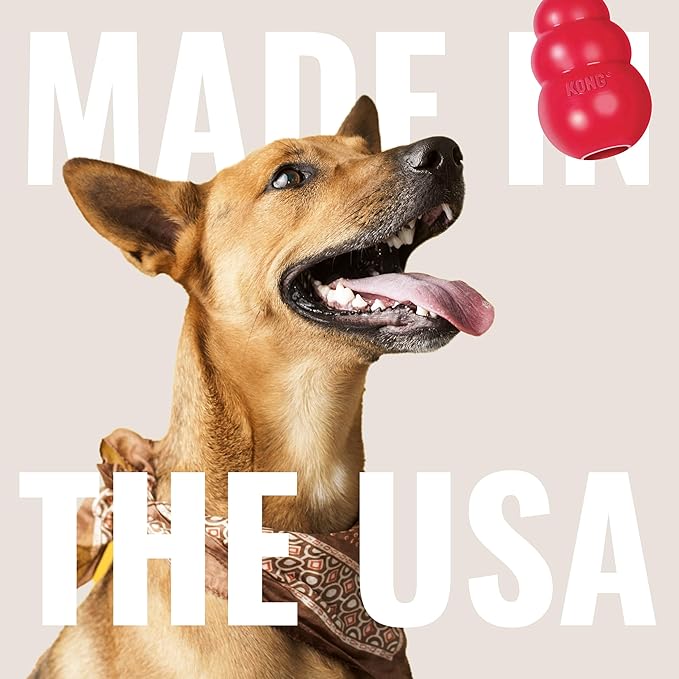KONG Classic Stuffable Dog Toy - Fetch & Chew Toy for Dogs - Treat-Filling Capabilities & Erratic Bounce for Extended Play Time - Durable Natural Rubber Material - for Large Dogs (Pack of 2)