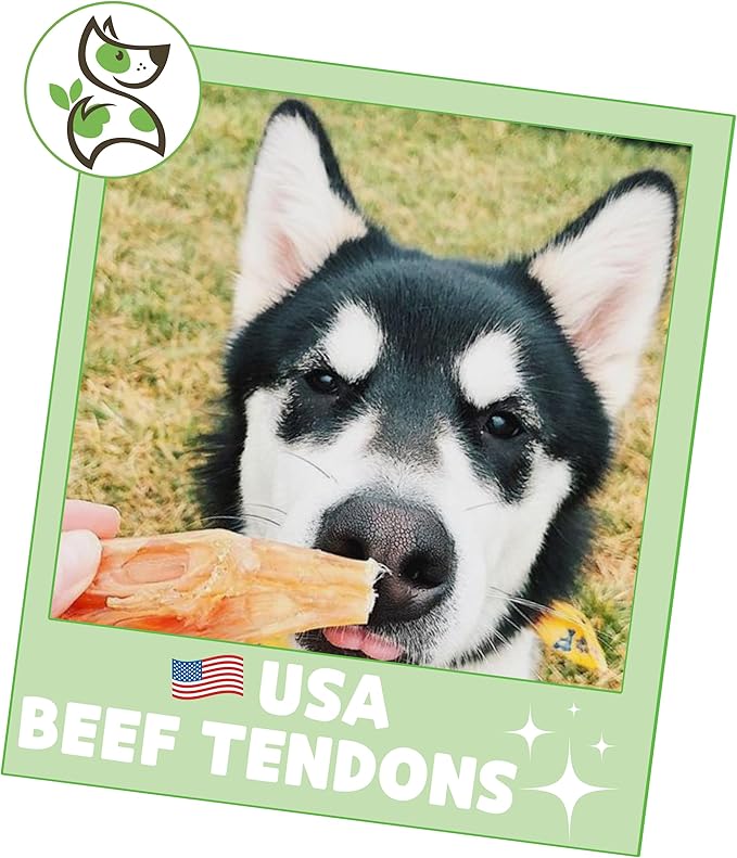 Nature Gnaws USA Beef Tendons for Dogs 1 Pound (8oz X2) - Mixed Thickness - Long Lasting for Aggressive Chewers - Premium Natural Beef Dog Chew Treats - Rawhide Free (Pack of 2)