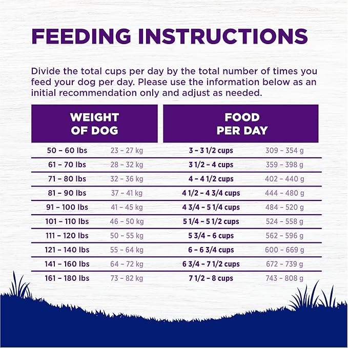 Wellness Complete Health Dry Dog Food, Large Breed, Wholesome Grains, Natural, Chicken & Brown Rice Recipe, (30-Pound Bag)