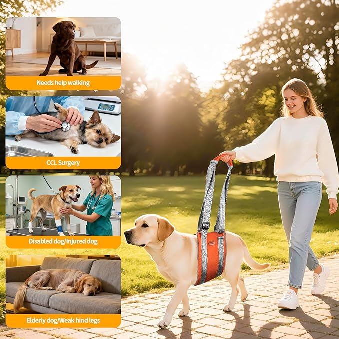 Dog Sling for Back Legs Dog Lift Harness Magic Tape Hip Support Harness Rehab to Help Senior,Injured,Arthritis,Hip Dysplasia,Weak Rear Leg,Disabled,After ACL/CCL Surgery,TPLO Dogs (Brown, S)