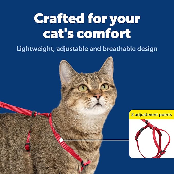 PetSafe Come With Me Kitty Harness and Bungee Leash, Medium, Red