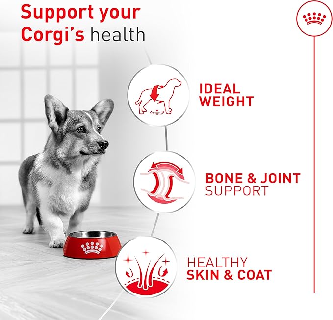 Royal Canin Corgi Adult Dry Dog Food, Kibble for Corgis 12 Months+, Supports Digestion and Weight Management, 7 lb Bag