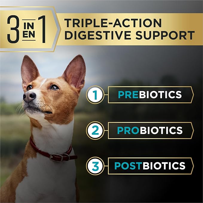Purina Pro Plan AdvantEDGE Digestive Support Plus Small Breed Salmon and Oat Meal Formula Adult Dry Dog Food - 12 lb Bag