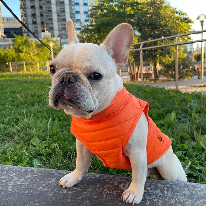 Gooby Puffer Vest Dog Jacket - Orange, Large - Ultra Thin Zip Up Wind Breaker with Dual D Ring Leash