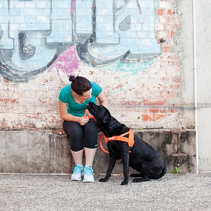 EzyDog Quick Fit Dog Harness – No Pull Harness for Training, Everyday Walking, and Easy Control - Adjustable Fit, Reflective, and Padded (X-Small, Gray)