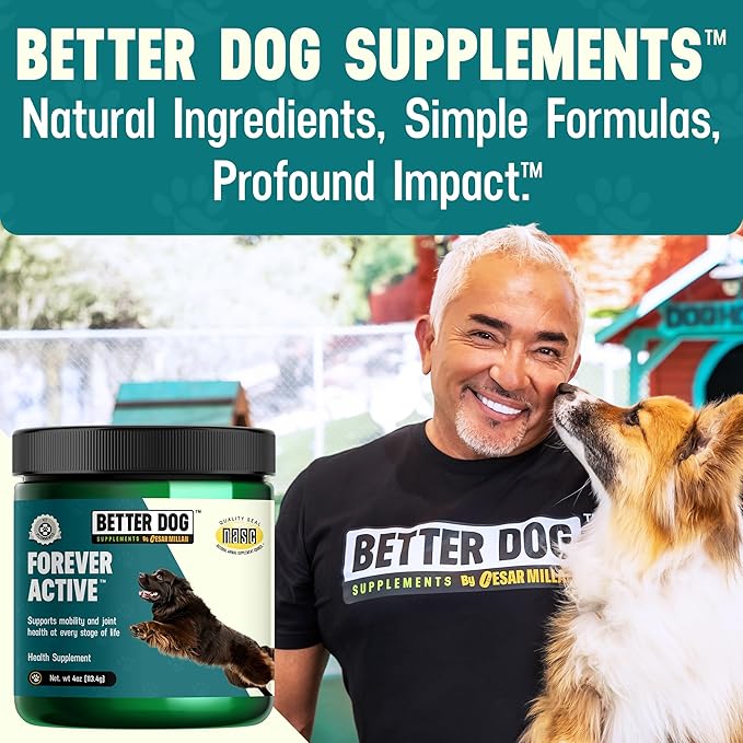 Better Dog Supplements Forever Active by Cesar Millan – Natural Dog Hip & Joint Care for Mobility, Flexibility & Comfort – Herbal Blend Dog Joint Supplement Powder – 4oz (60-Day Supply)