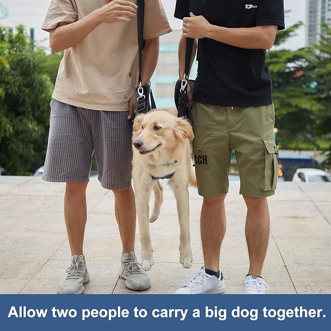 COODEO Dog Carry Sling, Emergency Backpack Pet Legs Support & Rehabilitation Dog Lift Harness for Nail Trimming, Dog Carrier for Senior Dogs Joint Injuries, Arthritis, Up and Down Stairs(M, Black)