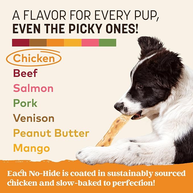 Earth Animal No Hide Strips - Natural Rawhide Free Dog Chew Strips, Chicken - 4 Count