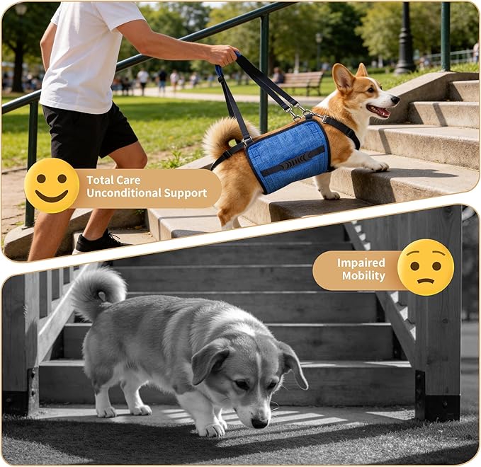 Dog Lift Harness for Large Dogs, Dog Sling Carrier with Lifting Handle for Mobility Assistance, Senior Dogs with Arthritis, Hip Dysplasia & Post-Surgery Recovery, L
