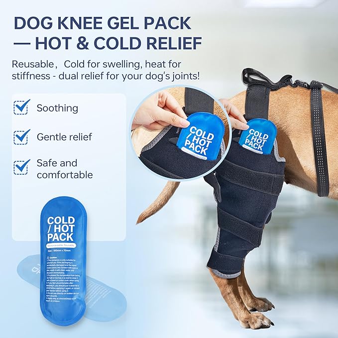 Dog Knee Brace for Back Leg - Adjustable Breathable Canine Leg Wrap with Hot & Cold Gel Packs - Supports Large & Medium Dogs with Arthritis, Hip Dysplasia, ACL Injuries, Right Hind Leg (M)