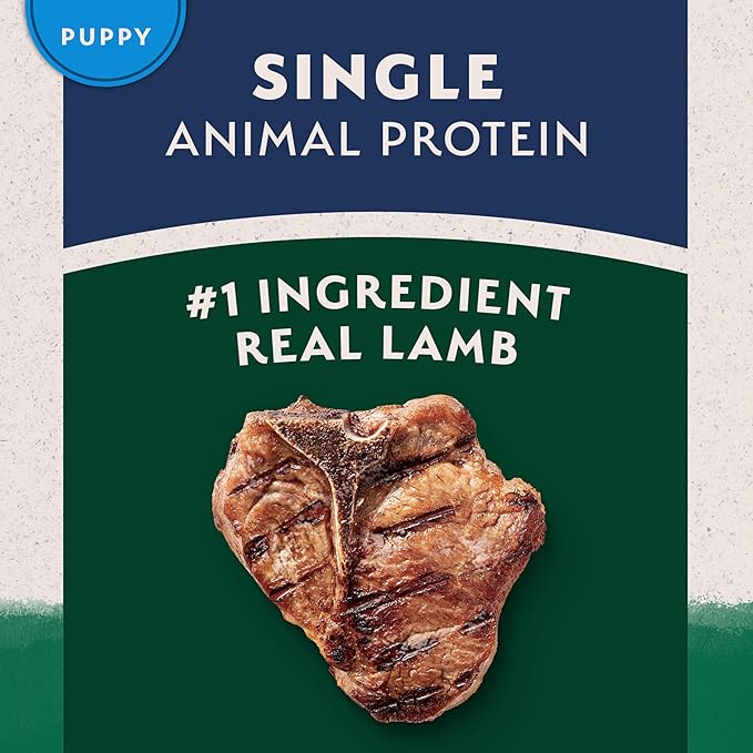 Natural Balance Limited Ingredient Puppy Dry Dog Food with Healthy Grains, Lamb & Brown Rice Recipe, 12 Pound (Pack of 1)