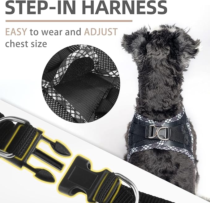 PUPTECK Dog Harness and Leash Set for Small Medium Dogs No Pull Step-in Soft Mesh Puppy Cat Vest Harnesses Reflective at Night, Black S