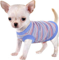 Elevate Your Pet's Comfort and Fashion: Premium 100% Cotton Rib Dog Shirt Vest for Small Breeds Like Chihuahuas, Yorkies, and Puppies .Year-Round Style with Tank-Style Puppy Attire Blue Small