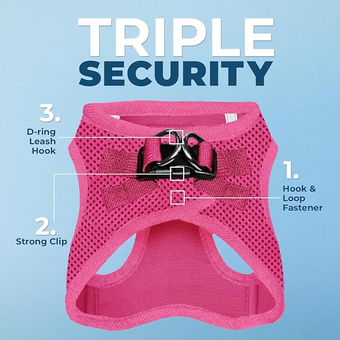 Best Pet Supplies Voyager Step-in Air All Weather Mesh Harness and Reflective Dog 5ft Leash Combo with Neoprene Handle, for Small, Medium and Large Breed Puppies - Set (Fuchsia), XX-Small