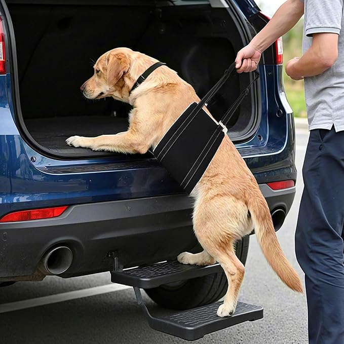 AIITLE Upgraded Dog Sling Carrier Medium - Hind Leg Support Sling with Hip Thick Padding, Rehab Mobility Aid for Senior/Disabled Dogs, Orthopedic Injury & ACL Surgery Recovery (Black, M)
