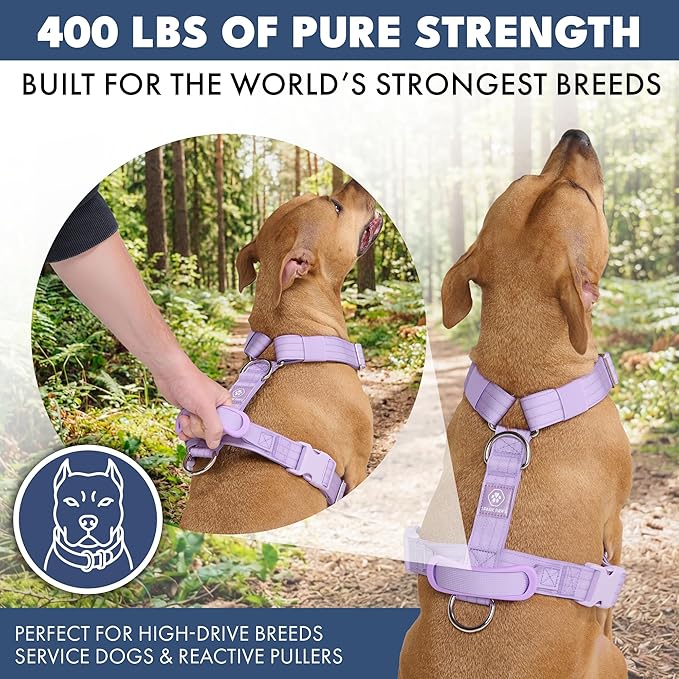 Spark Paws No Pull Dog Harness with Handle for Large Dogs, Heavy Duty Dog Harness for Big Strong Breeds, Adjustable, Y Shaped Padded Halter Design with Front Clip - Lilac - M