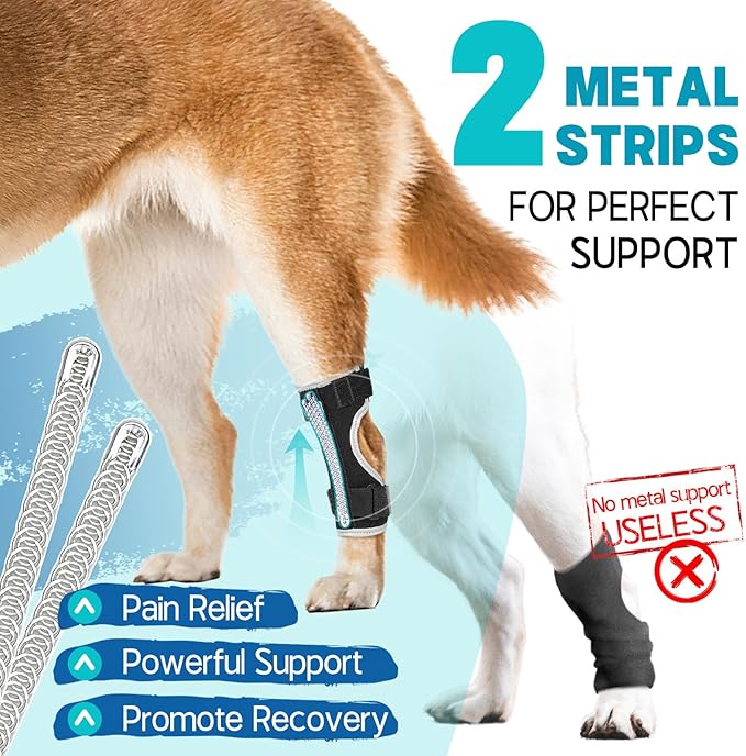 Supet Dog Leg Brace for Back Leg - Hock & Ankle Joint Support for Rear Legs with 2 Metal Springs, Anti-Slip Design & Reflective Trim for Sprain, Arthritis, Injury & Wound Recovery (Black, L)