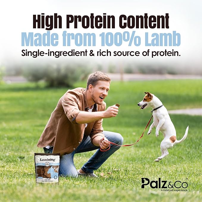 Palz&Co Lambdog Lamb Bites 6oz - 100% Natural Single Ingredient Dog Treats, Grain-Free, High Protein, Chewy Texture