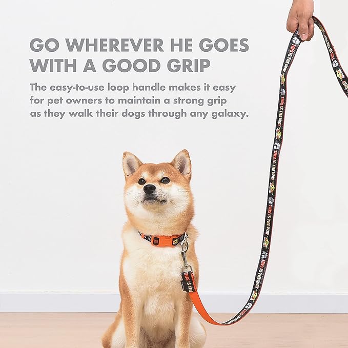Star Wars The Mandalorian This is The Way Dog Leash - Cute Dog Lead Easily Attaches to Any Collar or Harness - Officially Licensed Pet Walking Leash, 4 Foot (48 Inch) (Pack of 2)