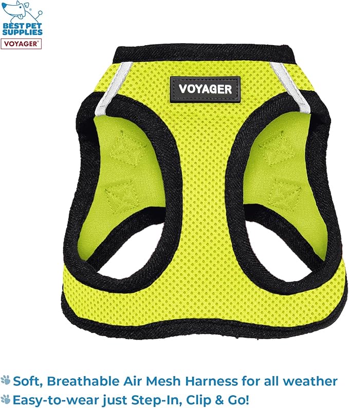 Voyager Step-in Air All Weather Mesh Harness and Reflective Dog 5 ft Leash Combo with Neoprene Handle, for Small, Medium and Large Breed Puppies by Best Pet Supplies - Green, Small