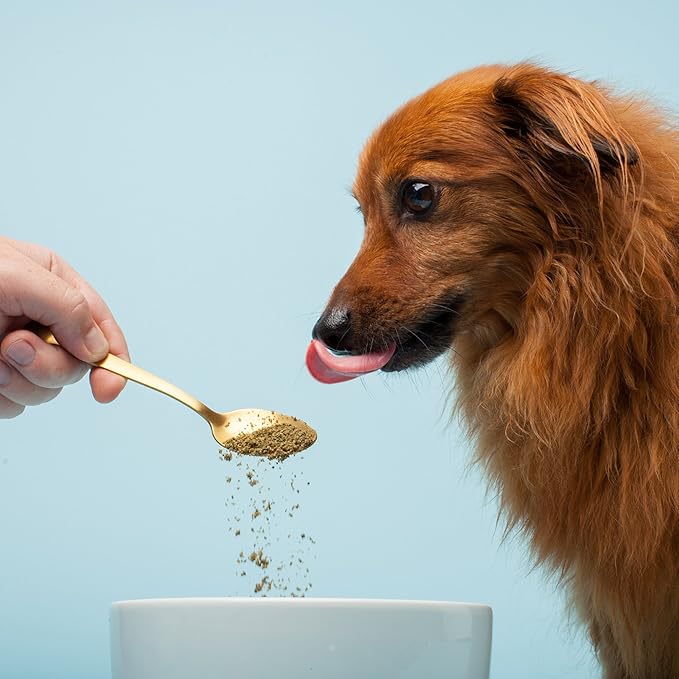 The Missing Link Pet Kelp Canine Joint & Bone 8oz Superfood Powdered Supplement, Organic & Limited Formula Supports Mobility for Adult & Senior Dogs