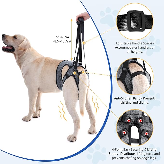 LIANZIMAU Dog Sling for Large Dogs Adjustable Hind Leg Support Lift Harness Senior Canine Mobility Aid Carrier for Back Legs Walking Rehabilitation